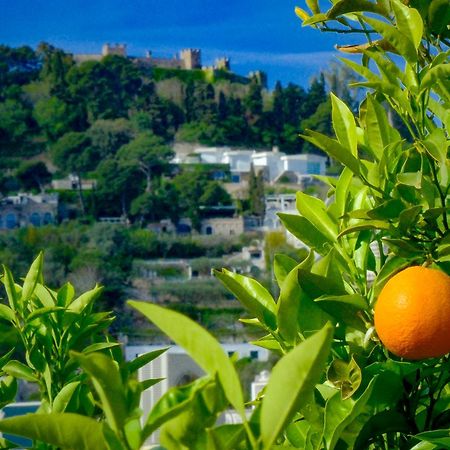 Villa Dorothee Capri Zewnętrze zdjęcie