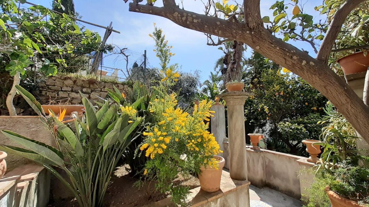 Villa Dorothee Capri Zewnętrze zdjęcie