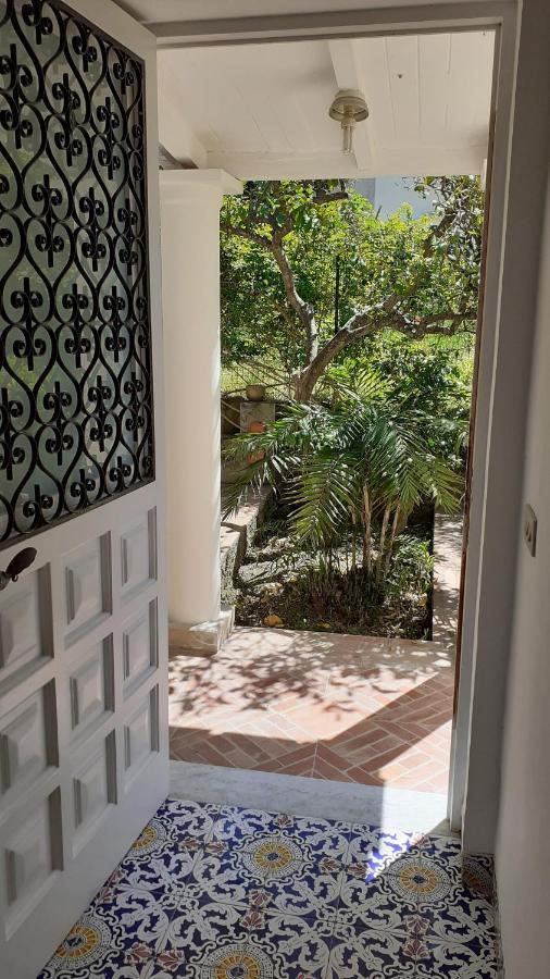 Villa Dorothee Capri Zewnętrze zdjęcie