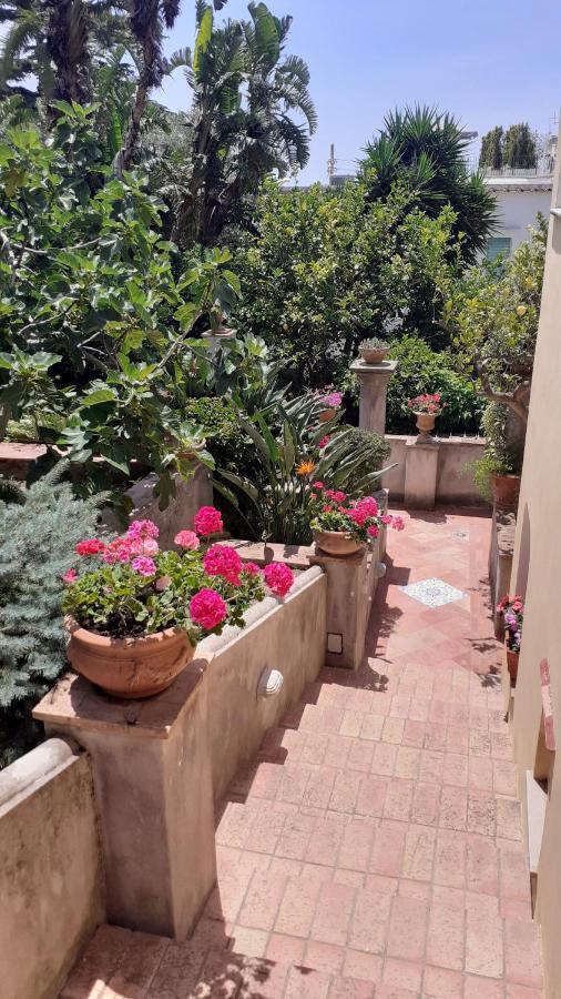 Villa Dorothee Capri Zewnętrze zdjęcie