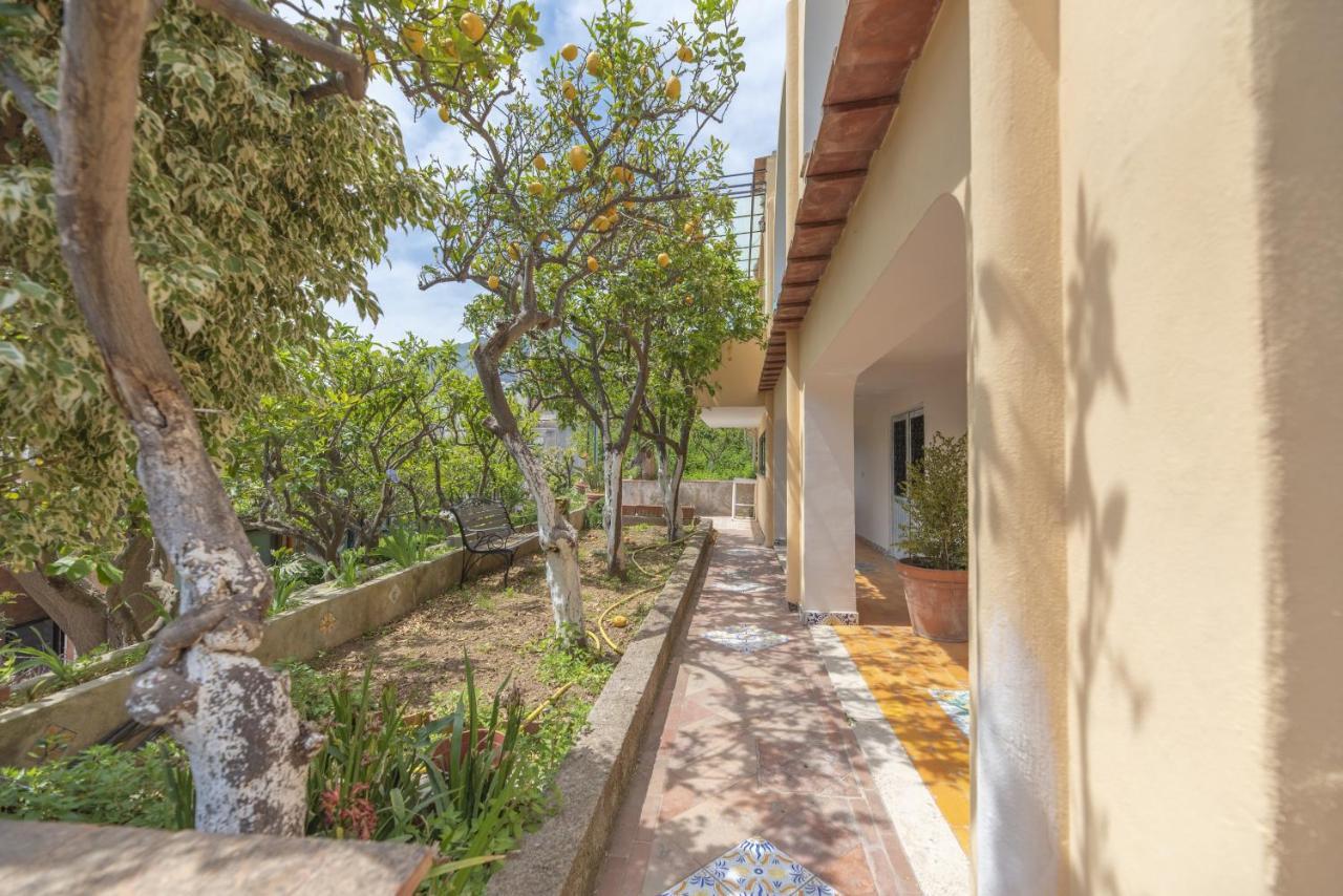 Villa Dorothee Capri Zewnętrze zdjęcie