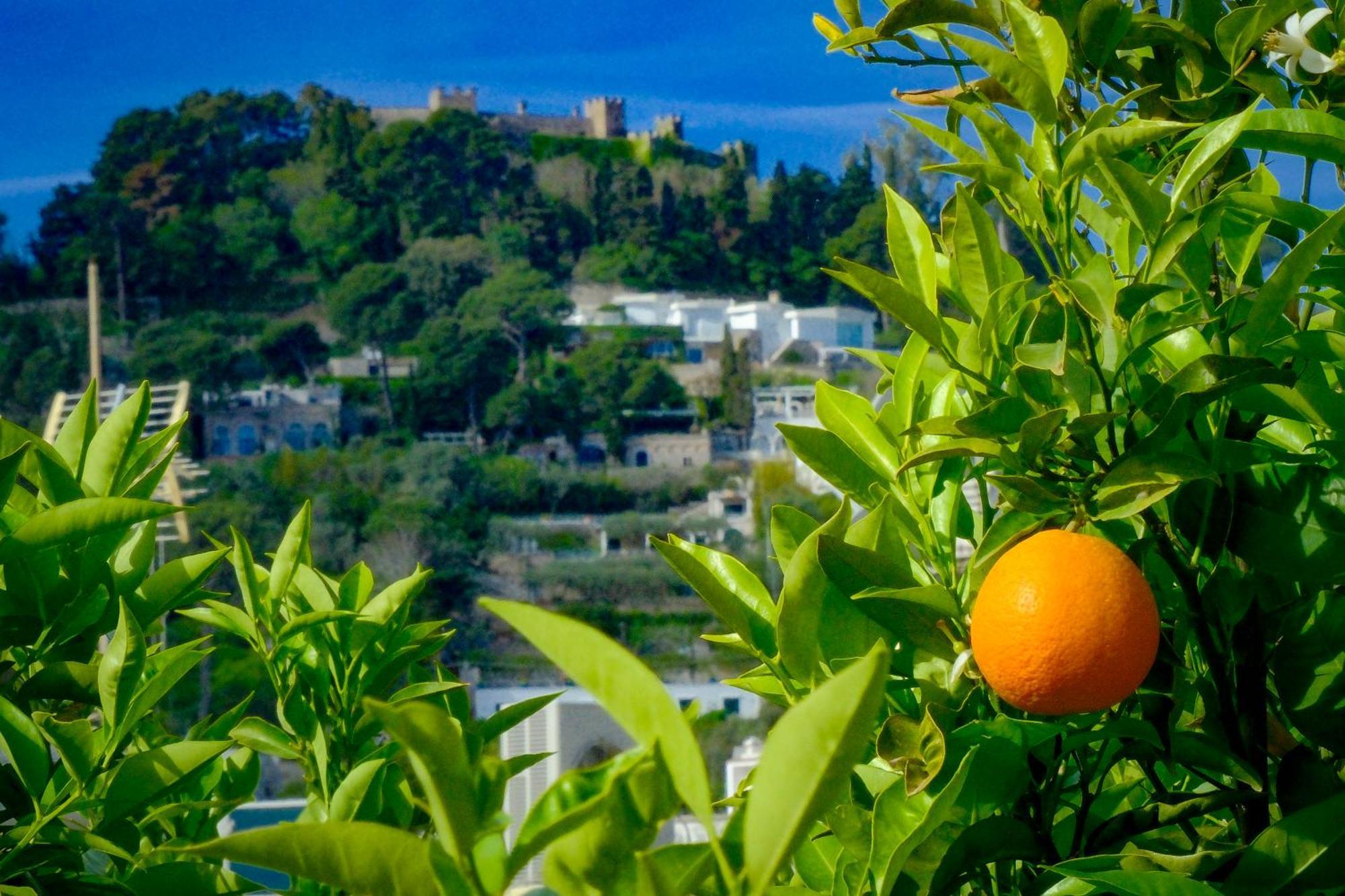 Villa Dorothee Capri Zewnętrze zdjęcie
