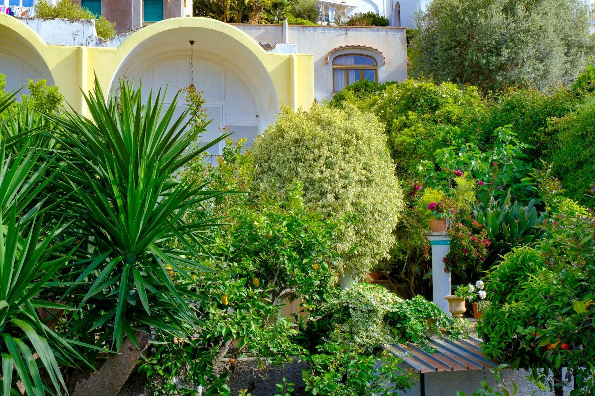 Villa Dorothee Capri Zewnętrze zdjęcie