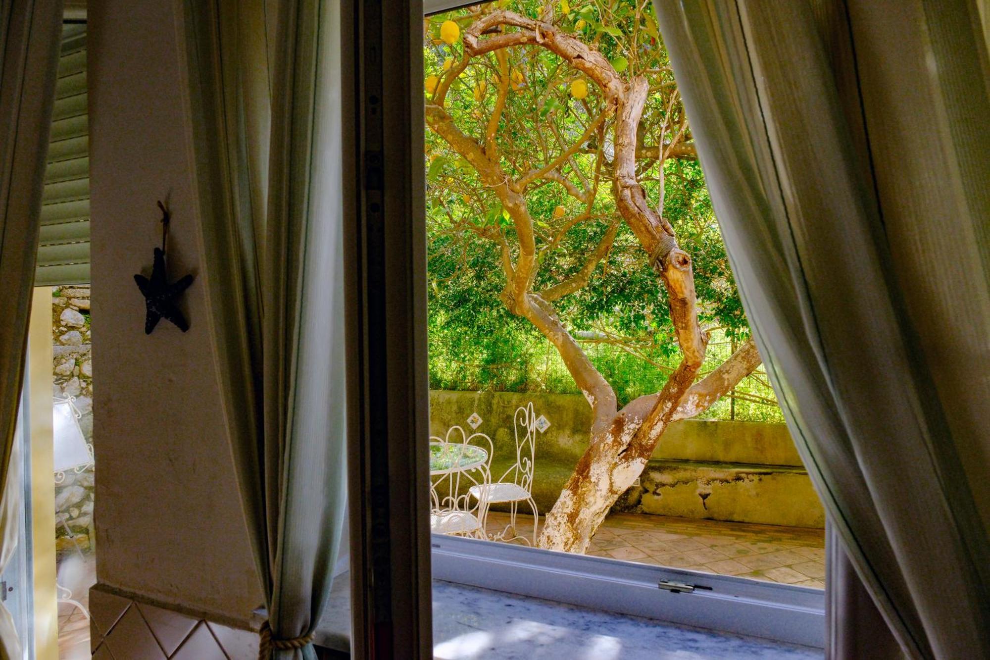 Villa Dorothee Capri Pokój zdjęcie